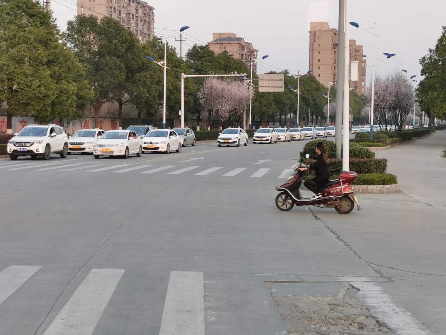 被教练车坑过的司机