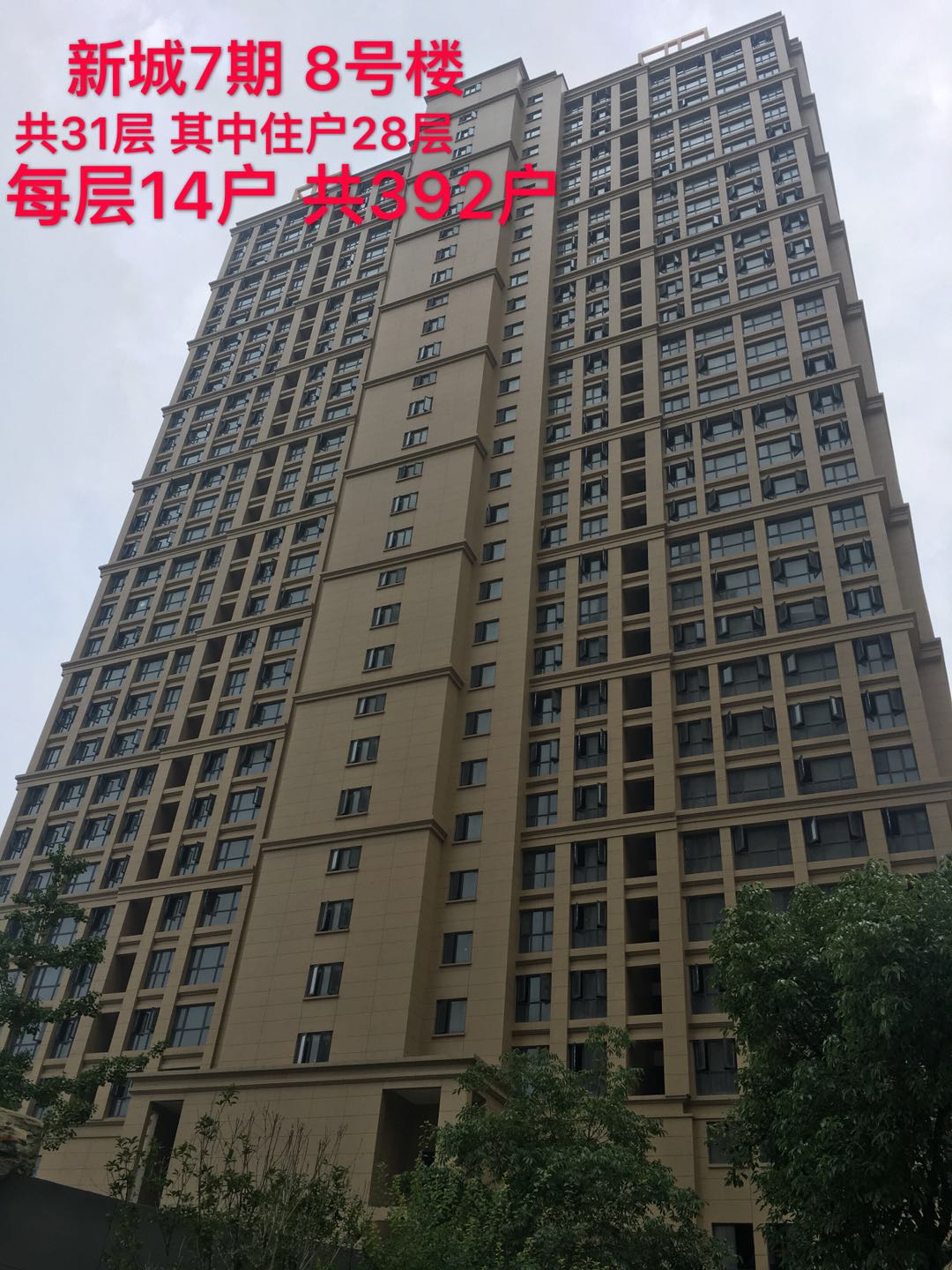 微信图片_20180706183250.jpg